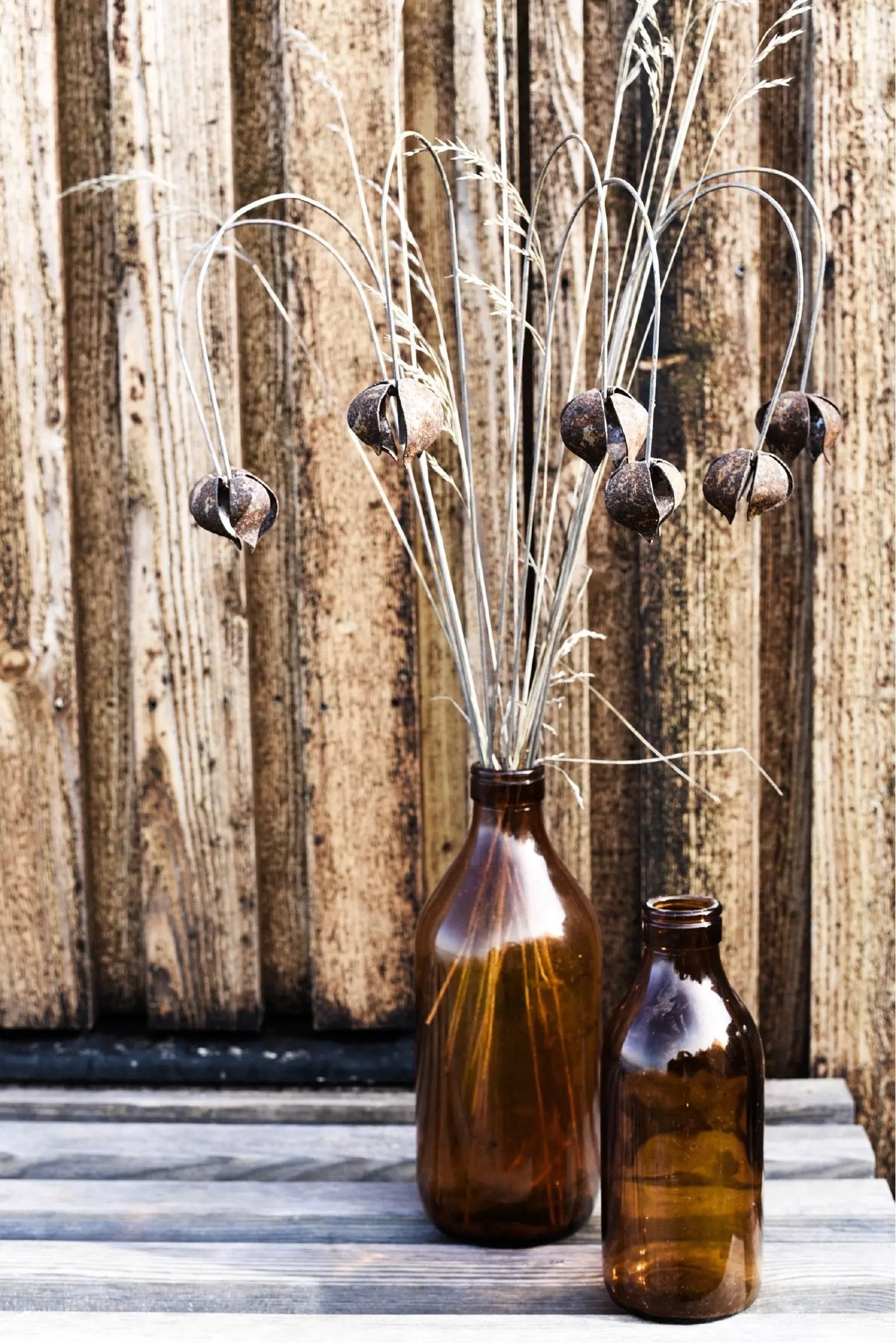 Bellflower- Berg Österdahl