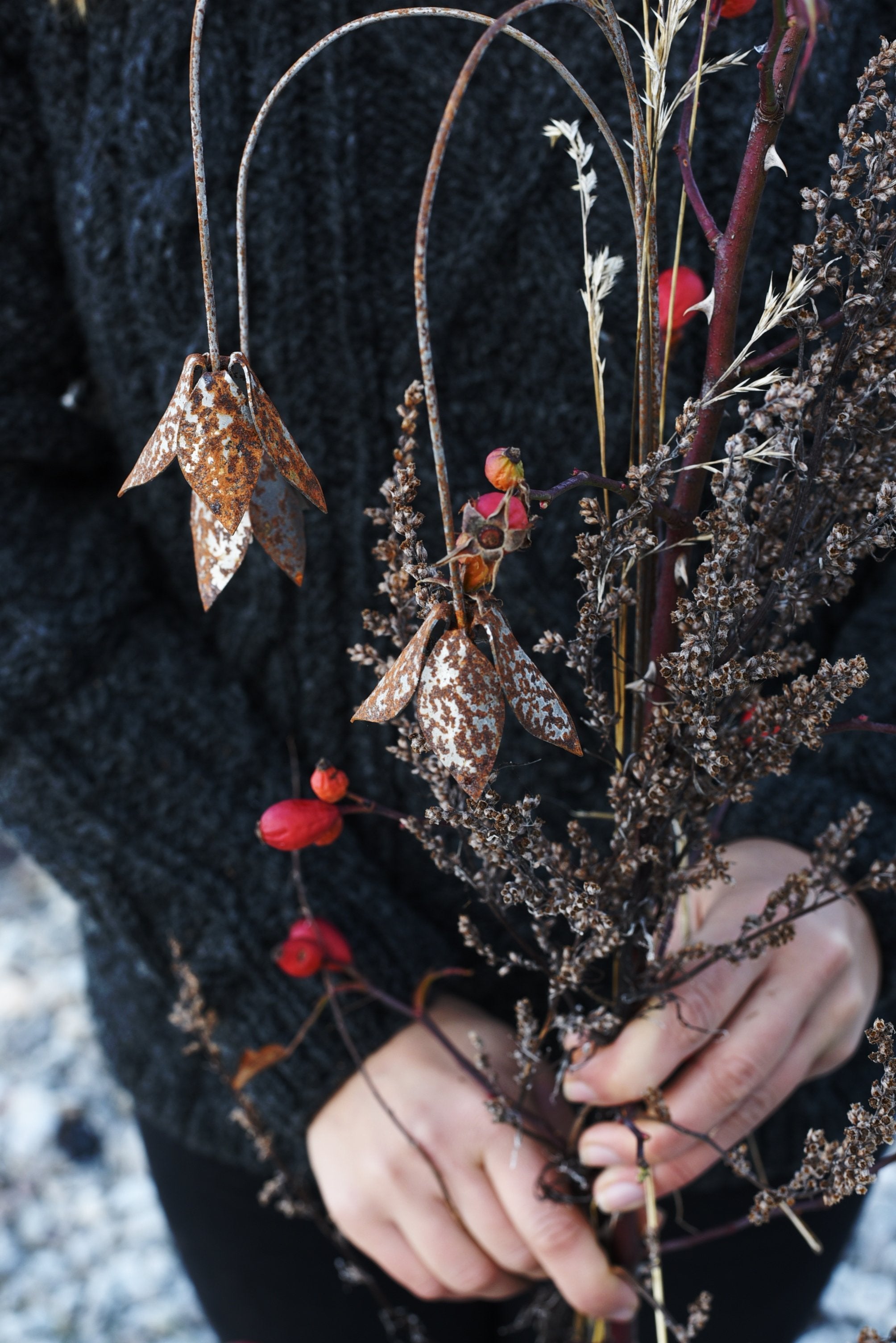 Ängsklocka av Berg Österdahl