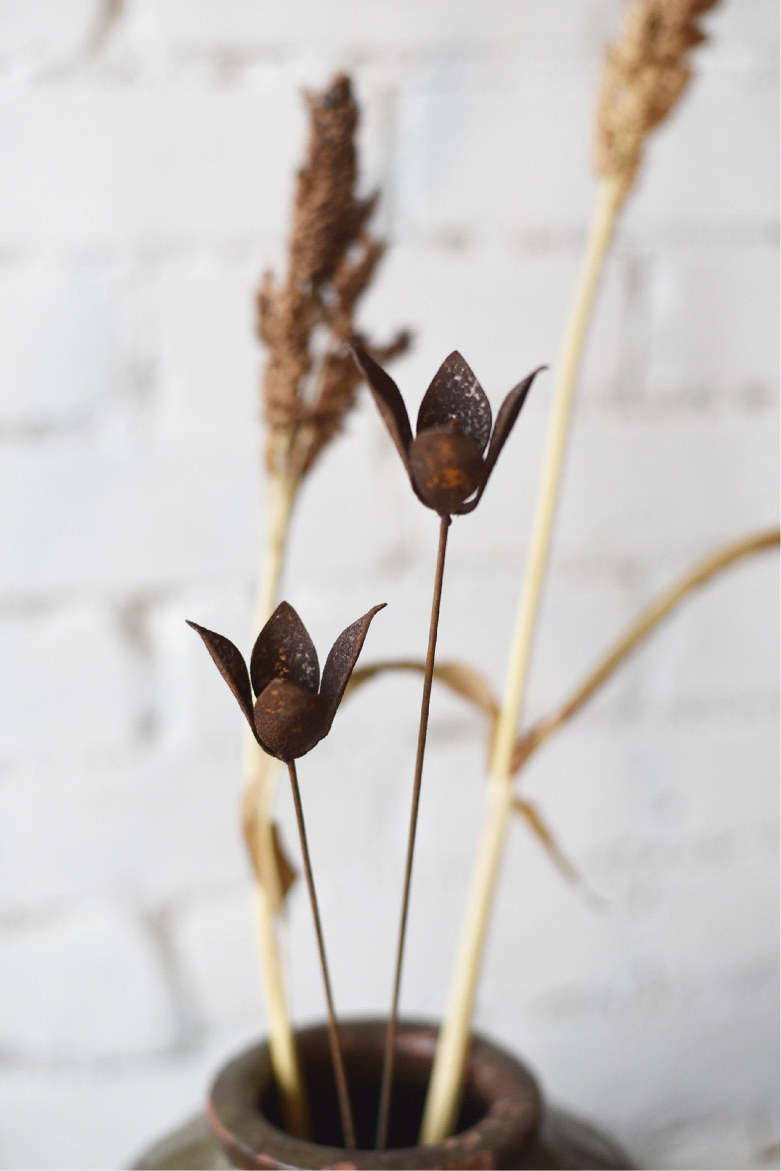 Vildtulpan av Berg Osterdahl