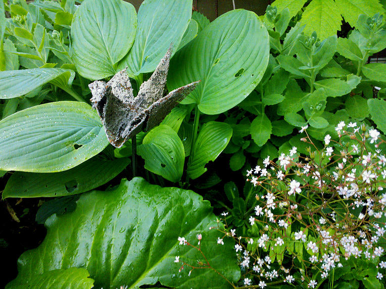 A origami bird in concrete and metal mesh by Berg Österdahl