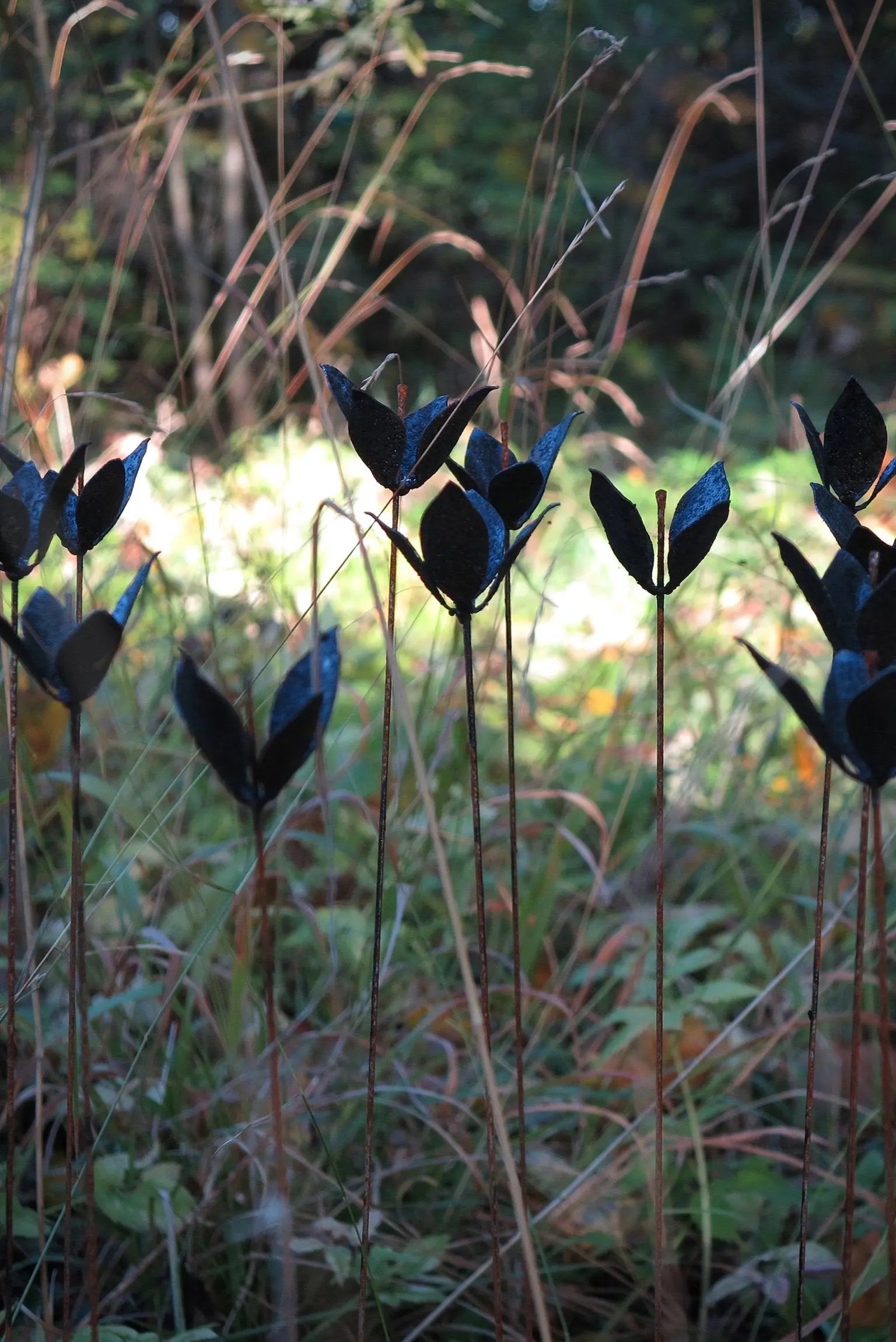 ÄNGSBLOMMOR