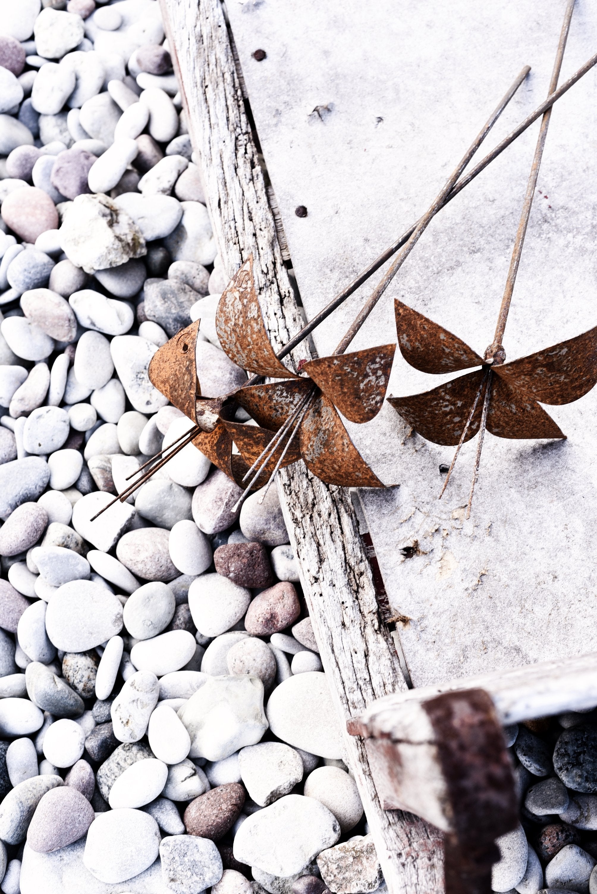 liten Lilja av Berg Österdahl