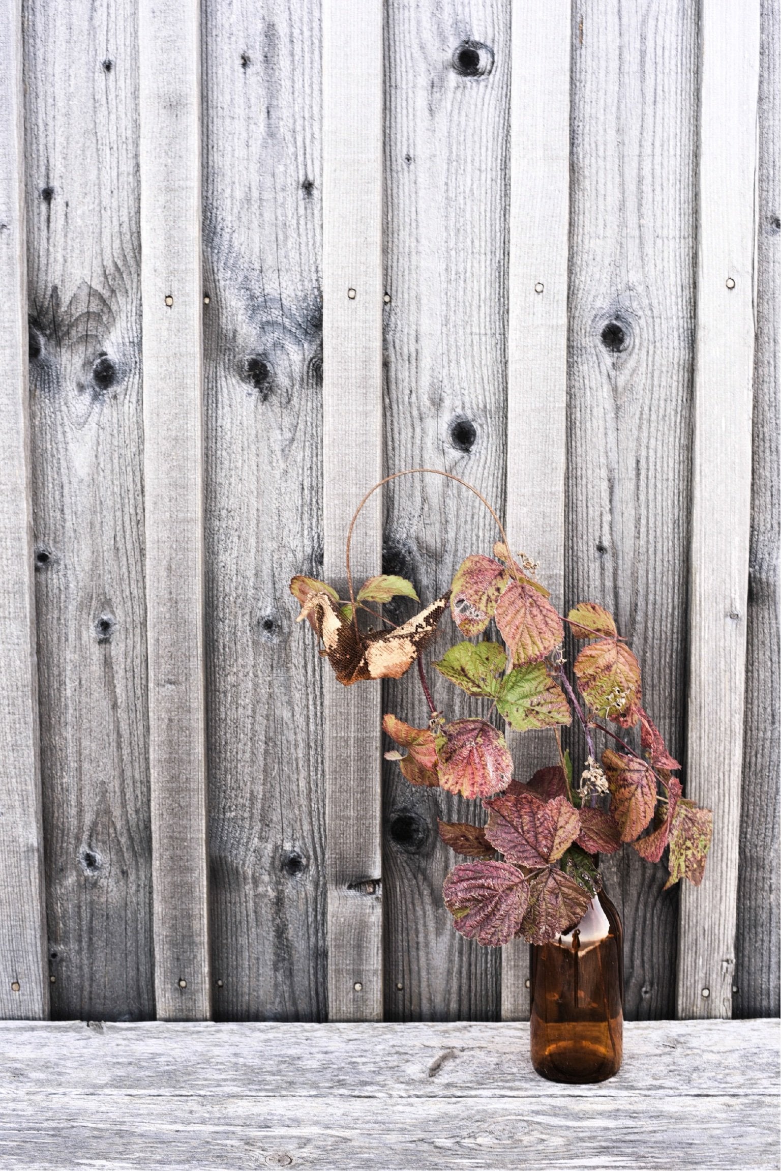 Pippi på svaj av Berg Österdahl
