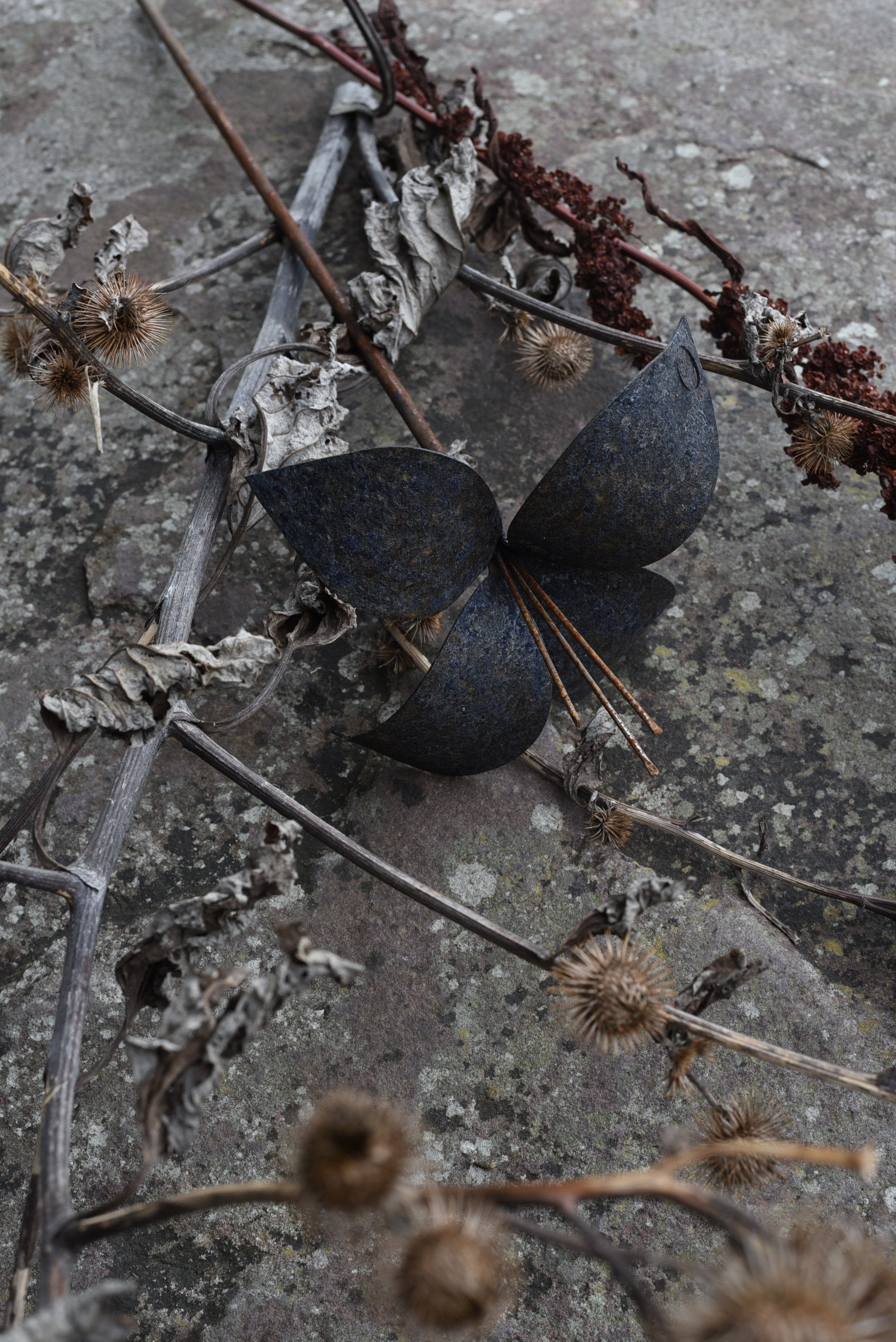 svärtad liten Lilja av Berg Österdahl 