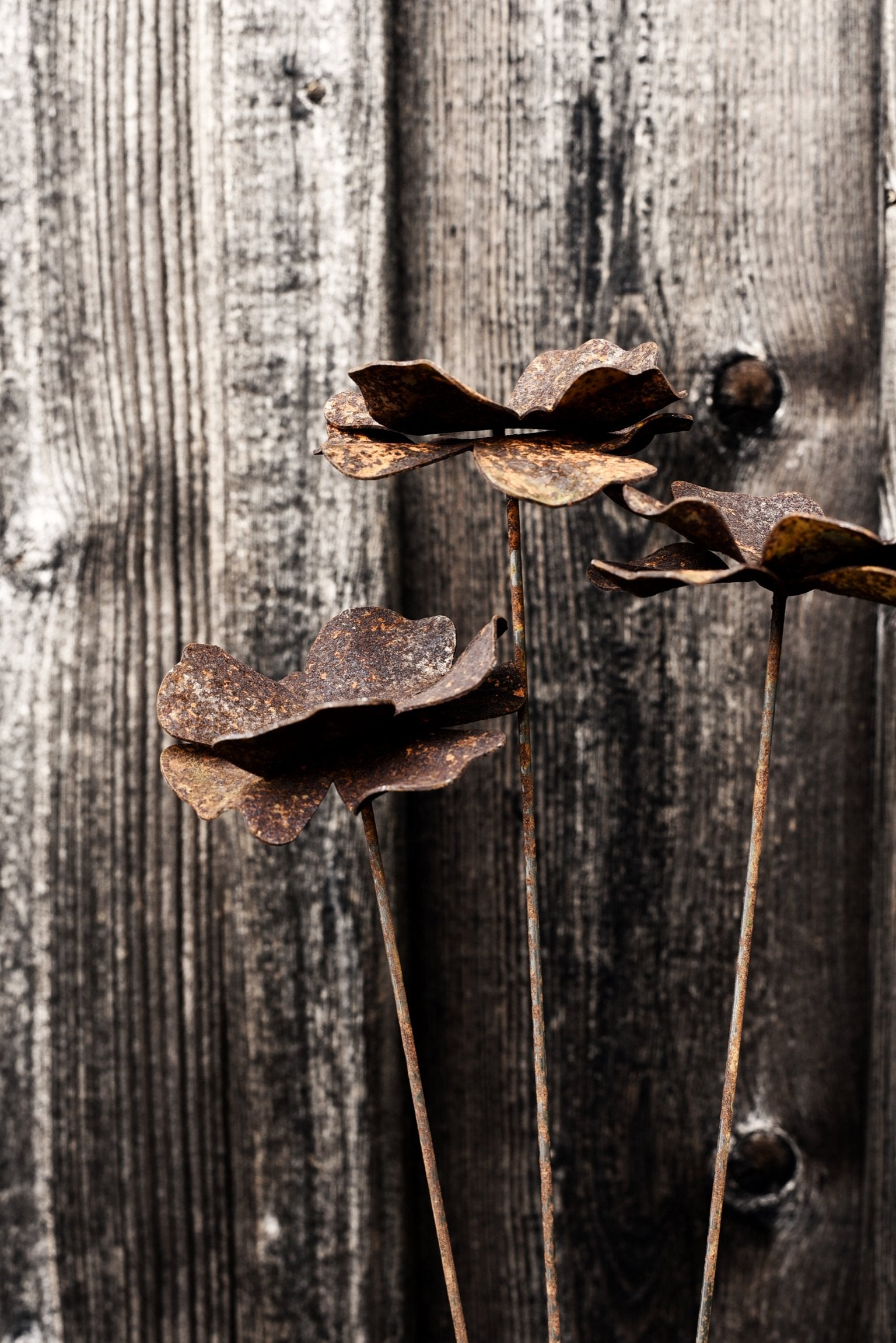 Vallmo av Berg Österdahl 